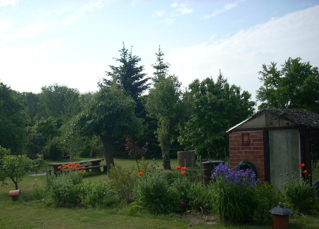 Marienkaefer